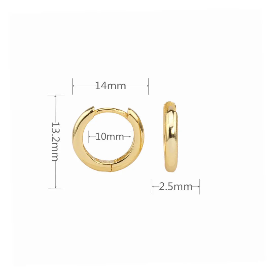 Small Gold Hoop Earrings